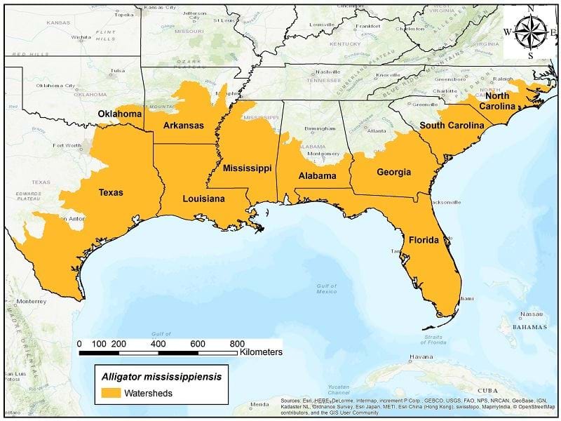 Name:  alligator-native-range-800.jpg
Views: 366
Size:  73.8 KB