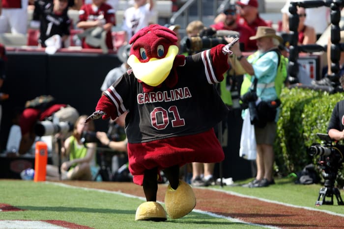 Name:  south-carolina-gamecocks-mascotjpg.jpg
Views: 180
Size:  54.5 KB