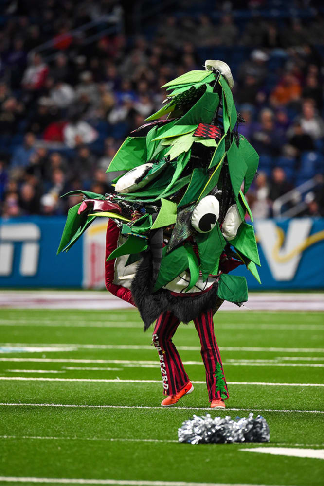 Name:  stanford-mascot-treejpg.jpg
Views: 982
Size:  112.0 KB