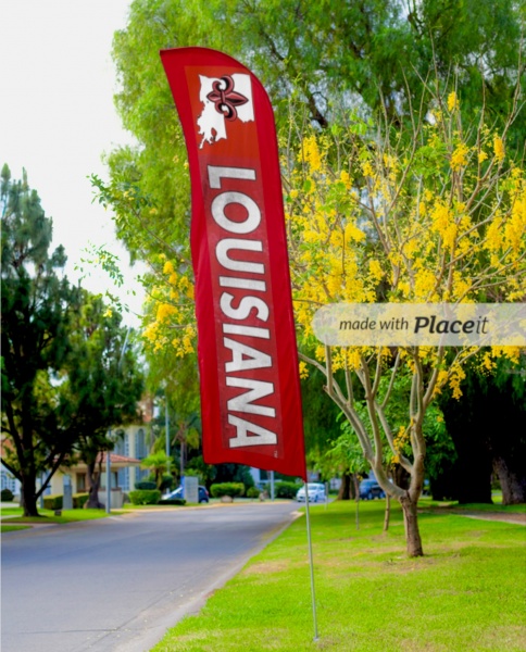 Name:  IMG_7146.jpg
Views: 260
Size:  152.0 KB