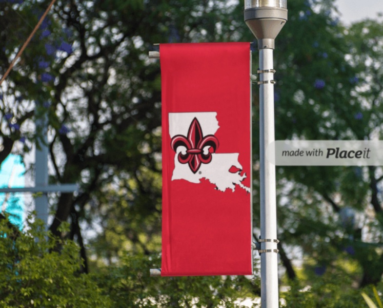 Name:  IMG_7020.jpg
Views: 265
Size:  149.4 KB