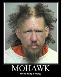 Name:  mohawk_1.jpg
Views: 671
Size:  8.9 KB