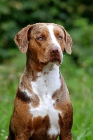 Name:  getwidth316.jpg
Views: 1037
Size:  23.2 KB